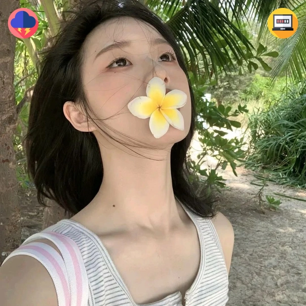 用户反馈头像